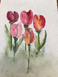 Beispielbild Tulpen