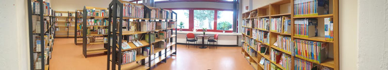 Schul- und Stadtteilbibliothek Schlebusch, Sachliteratur